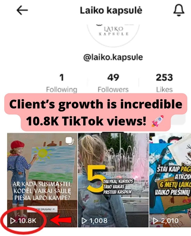 Tiktok - 10.8k views